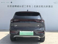 BYD Tangxin Energy 2021 DM-i 112KM Honor Type - фото 4