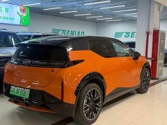 Zeekr X 2025 5-Seater AWD Sport Edition - фото 4
