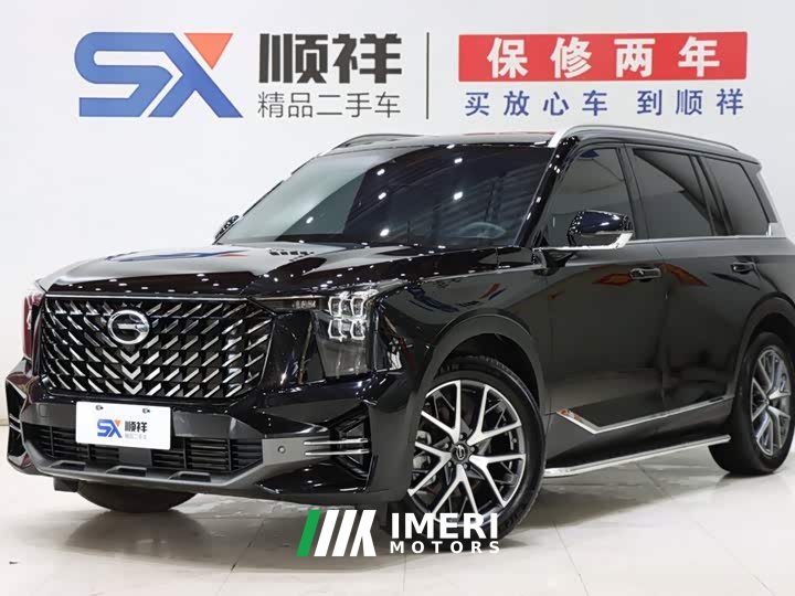 Trumpchi GS8 2025 Pilot Series 2.0TGDI two-wheel drive luxury version 5 seats - автомобиль из Китая