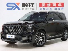 Trumpchi GS8 2025 Pilot Series 2.0TGDI two-wheel drive luxury version 5 seats - фото 1