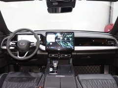 Trumpchi GS8 2025 Pilot Series 2.0TGDI two-wheel drive luxury version 5 seats - фото 11