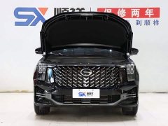 Trumpchi GS8 2025 Pilot Series 2.0TGDI two-wheel drive luxury version 5 seats - фото 19