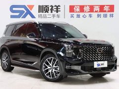Trumpchi GS8 2025 Pilot Series 2.0TGDI two-wheel drive luxury version 5 seats - фото 3