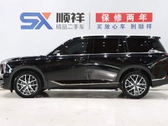 Trumpchi GS8 2025 Pilot Series 2.0TGDI two-wheel drive luxury version 5 seats - фото 4