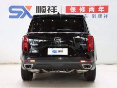 Trumpchi GS8 2025 Pilot Series 2.0TGDI two-wheel drive luxury version 5 seats - фото 6