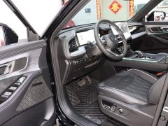 Trumpchi GS8 2025 Pilot Series 2.0TGDI two-wheel drive luxury version 5 seats - фото 8