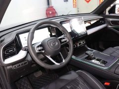 Trumpchi GS8 2025 Pilot Series 2.0TGDI two-wheel drive luxury version 5 seats - фото 9