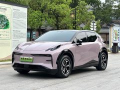 Zeekr X five-seater rear-wheel drive version - фото 1