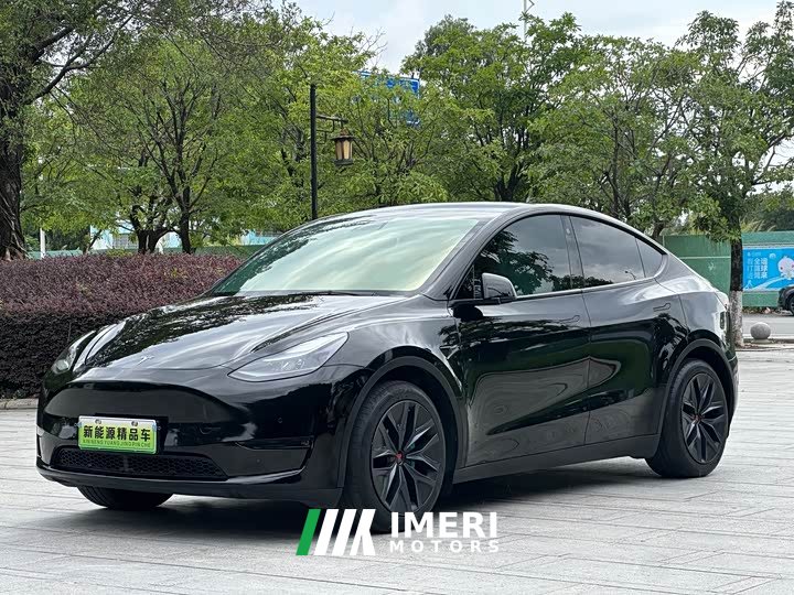 Tesla Model Y standard range rear-wheel drive version - автомобиль из Китая