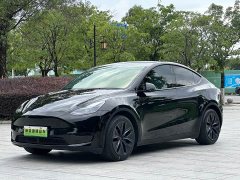 Tesla Model Y standard range rear-wheel drive version - фото 1
