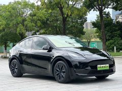 Tesla Model Y standard range rear-wheel drive version - фото 3