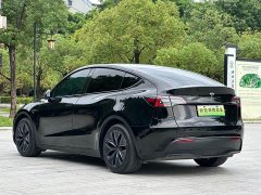 Tesla Model Y standard range rear-wheel drive version - фото 6