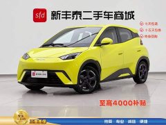 BYD Seagull Free Edition - фото 1