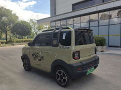 Lynk & Co Panda 210km Panda Rider - фото 6