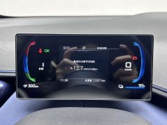BYD Seagull Honor Edition 305km Free Edition - фото 15