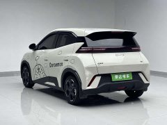 BYD Seagull Honor Edition 305km Free Edition - фото 4