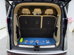 Denza D9 DM-i smart driving version 1020 four-wheel drive exclusive - фото 20