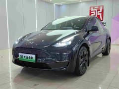 Tesla Model Y 2024 long-range all-wheel drive version - фото 1