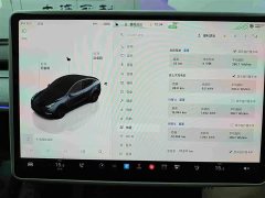 Tesla Model Y 2024 long-range all-wheel drive version - фото 18