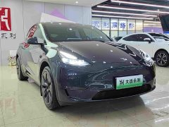 Tesla Model Y 2024 long-range all-wheel drive version - фото 3