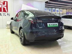 Tesla Model Y 2024 long-range all-wheel drive version - фото 4
