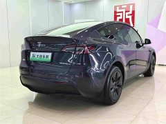 Tesla Model Y 2024 long-range all-wheel drive version - фото 6