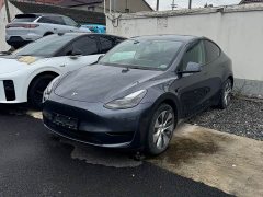 Tesla Model Y rear-wheel drive version - фото 1