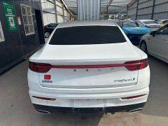 Tesla Xingrui 2023 2.0TD Premium - фото 10