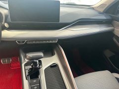 Tesla Xingrui 2023 2.0TD Premium - фото 6
