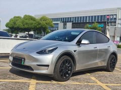 Tesla Model Y rear-wheel drive version - фото 1