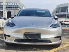 Tesla Model Y rear-wheel drive version - фото 2
