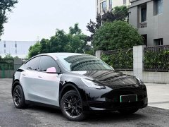 Tesla Model Y rear-wheel drive version - фото 1