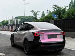 Tesla Model Y rear-wheel drive version - фото 12