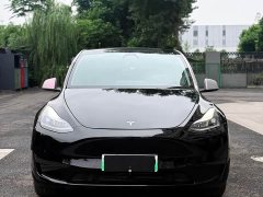 Tesla Model Y rear-wheel drive version - фото 5