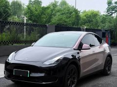 Tesla Model Y rear-wheel drive version - фото 6