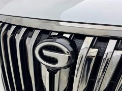 Trumpchi M8 Master Series 390T Extreme Edition - фото 11