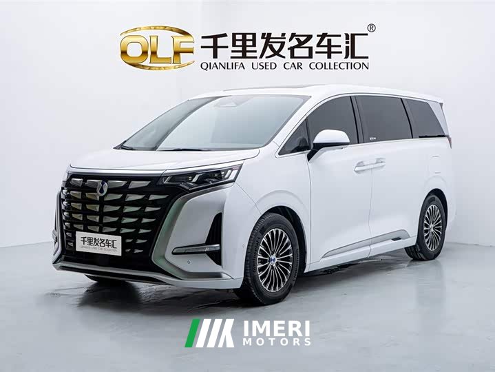 Denza D9 DM-i 970 four-wheel drive flagship
