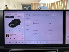 Li Auto Ideal L8 Max - фото 11