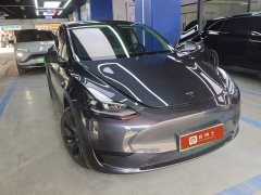 Tesla Model Y rear-wheel drive version - фото 6