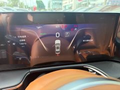 Hongqi H9 2024 2.0T Qichang Luxury Business Edition - фото 9