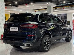 BMW X5 xDrive30Li M Sport Package - фото 16