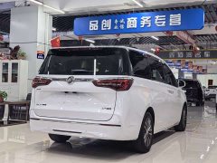 Buick GL8 ES Lu Zun 653T Exclusive Type - фото 7