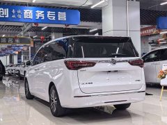 Buick GL8 ES Lu Zun 653T Exclusive Type - фото 9