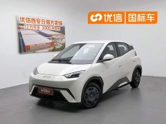 BYD Seagull Vitality Edition - фото 1