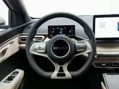 BYD Seagull Vitality Edition - фото 11