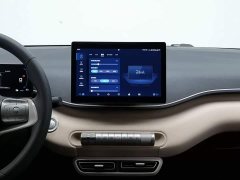 BYD Seagull Vitality Edition - фото 12