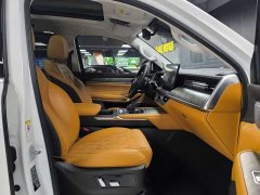 Tank 500 3.0T sports version, environment type, 5 seats - фото 14
