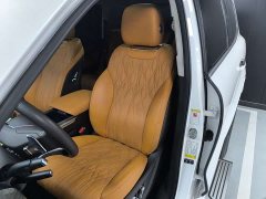 Tank 500 3.0T sports version, environment type, 5 seats - фото 19