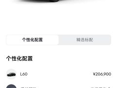 Li Auto Ledo L60 2024 60kWh rear-wheel drive version - фото 10