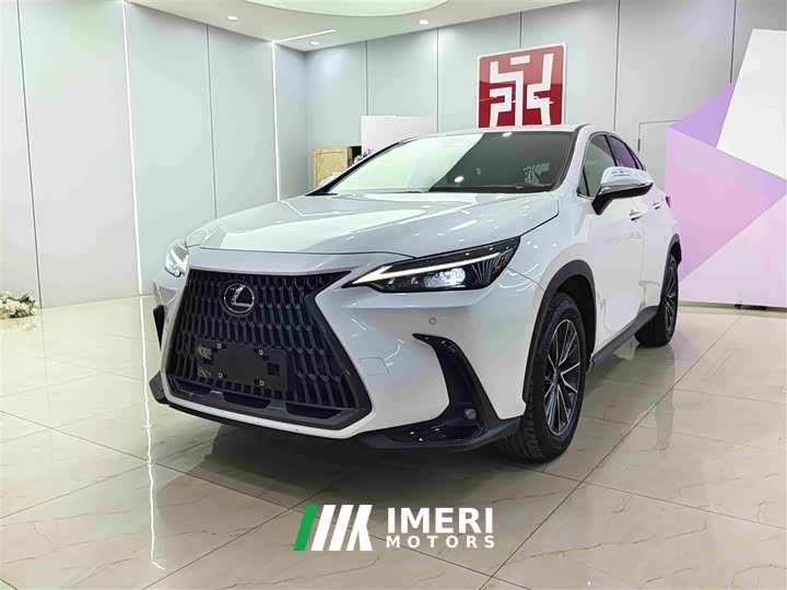 Lexus NX 260 front-wheel drive Chuangyue Edition - автомобиль из Китая